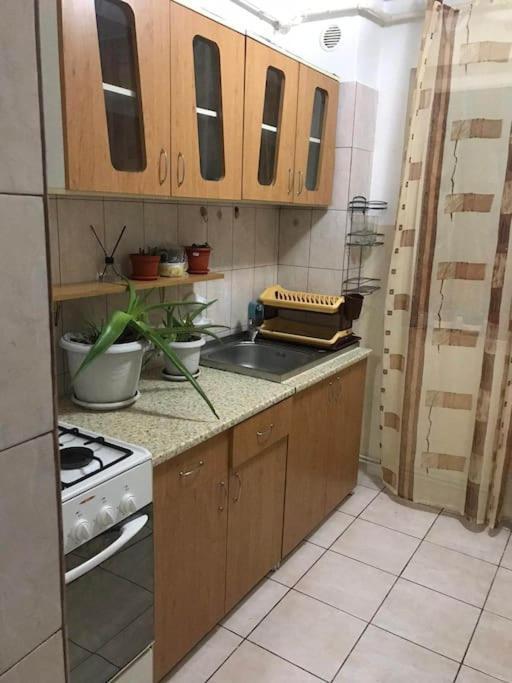 Confortabil Apartment Pitesti